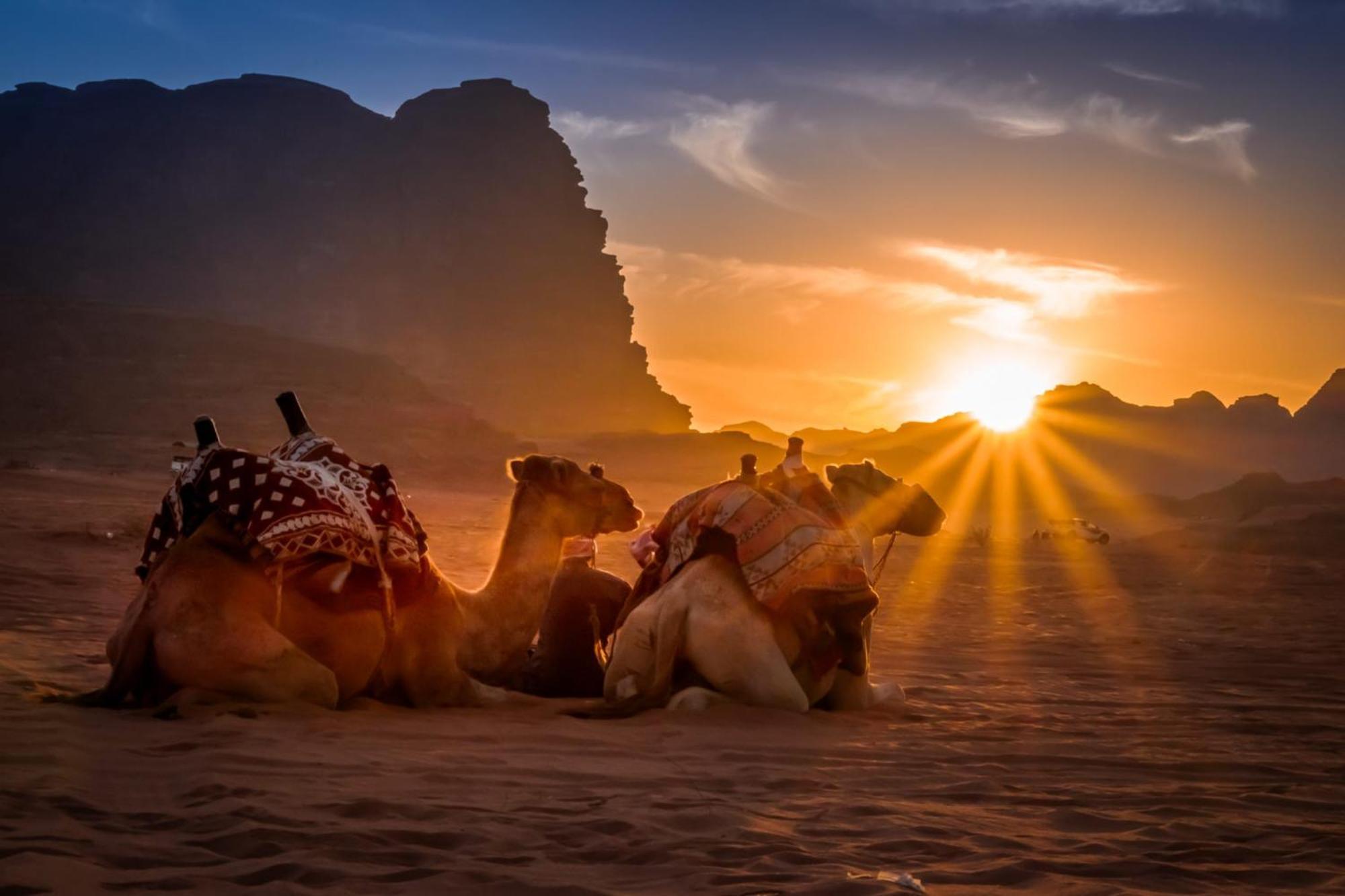 מלון Wadi Rum Caeser Camp מראה חיצוני תמונה